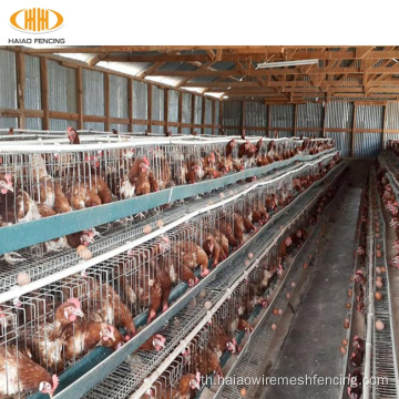 Haiao High Security สัตว์ปีก Cages Chicken Layer Cage
